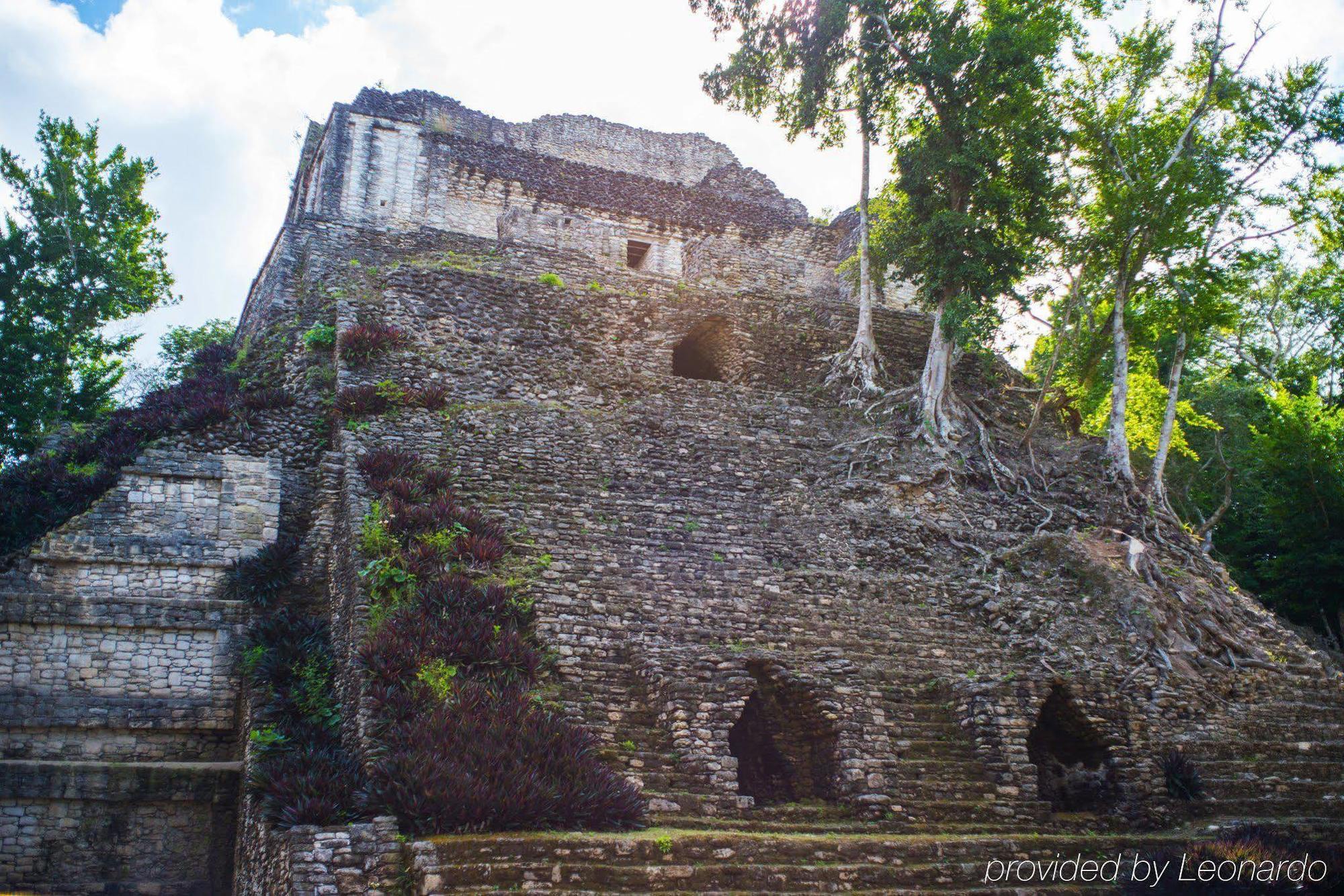 Top 5 hoteles cerca de Dzibanché, Quintana Roo
