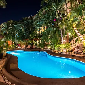 https://aventura-mexicana-riviera-maya.tulum-hotels.net
